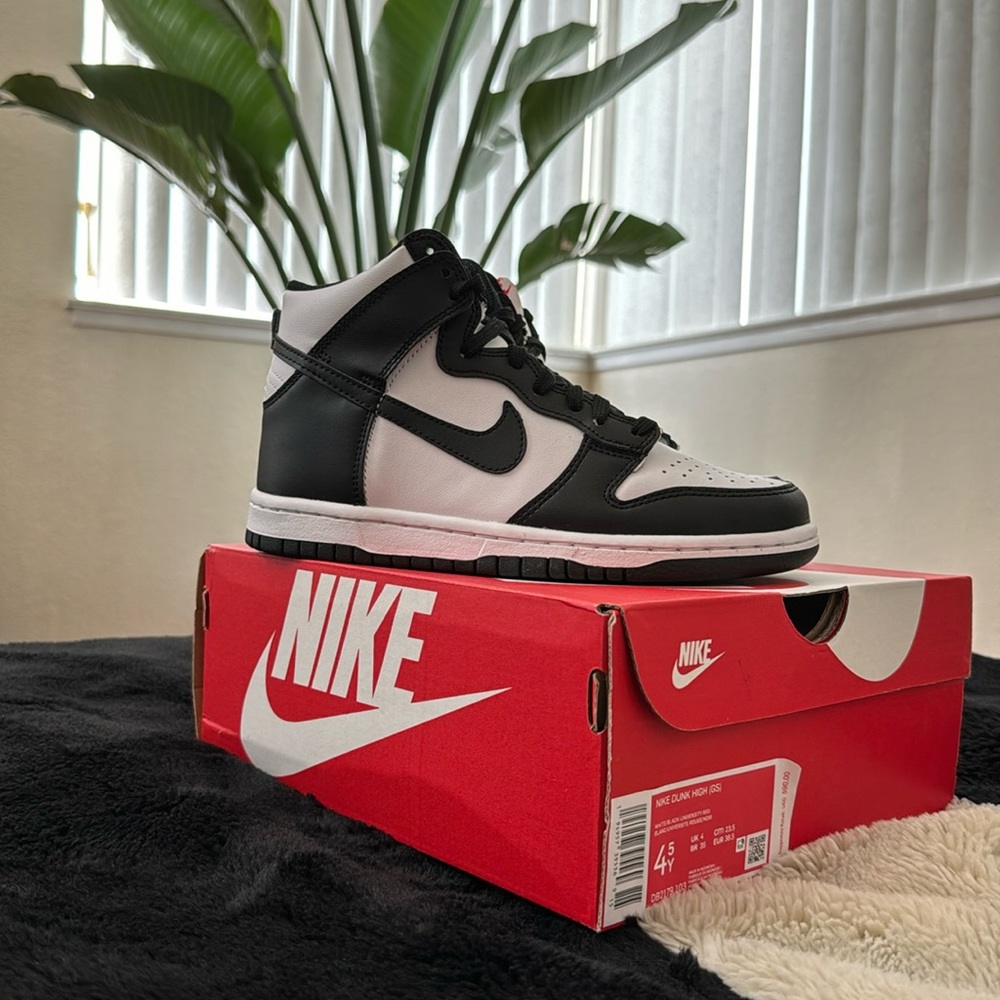 Nike Dunks 4.5Y Brand New✨